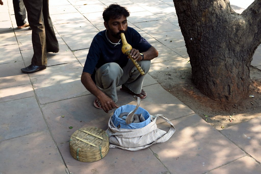 04 DELHI.JPG
